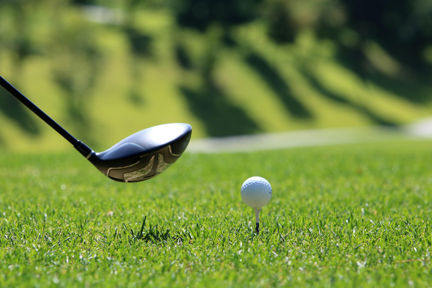 image-slider-banner